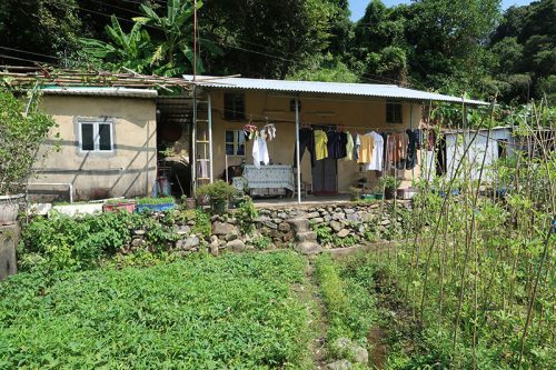 Dancing All Around Chuen Lung - Image 4