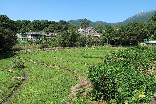 Dancing All Around Chuen Lung - Image 3