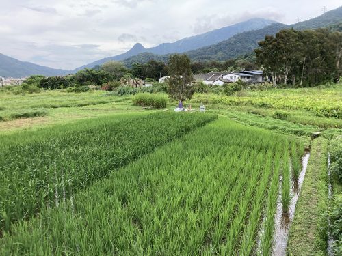 舞在天空下 2024 - Image 7